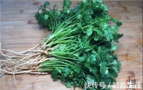 塑料袋|原来保存放半年的香菜这么简单，教你饭店的诀窍，一年只用买一次