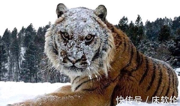 |搞笑图片幽默段子笑话:妹子你是在练劈叉么,挺像那么回事的