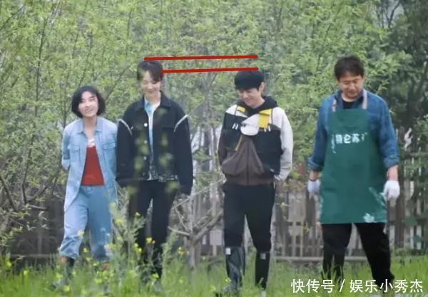 杨紫高 《向往》167杨紫遇上172何炅,身高差成槽点,这下可瞒不住了