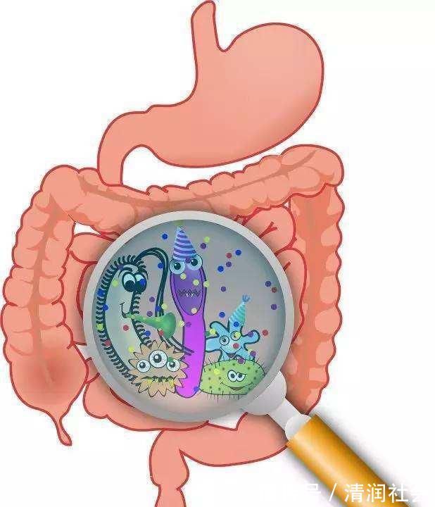 香蕉|它是天然“通便剂”，比香蕉强99倍，还调脾胃，坚持1个月有奇效
