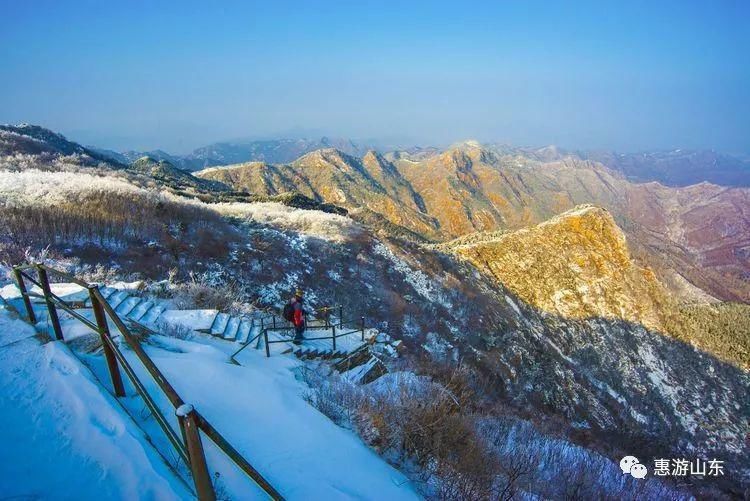 泰山银装素裹后石坞，雪松玉树赛仙境！