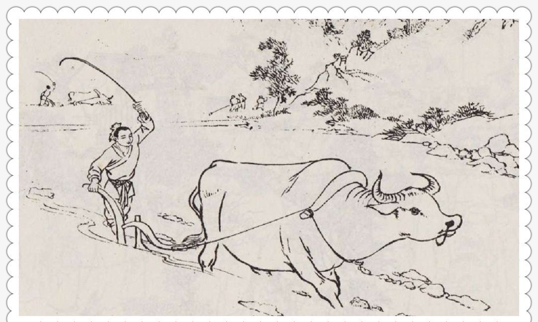 朱元璋|新聊斋:放牛娃路遇美千金,一眼定情两不忘,多年后将军娶女丐