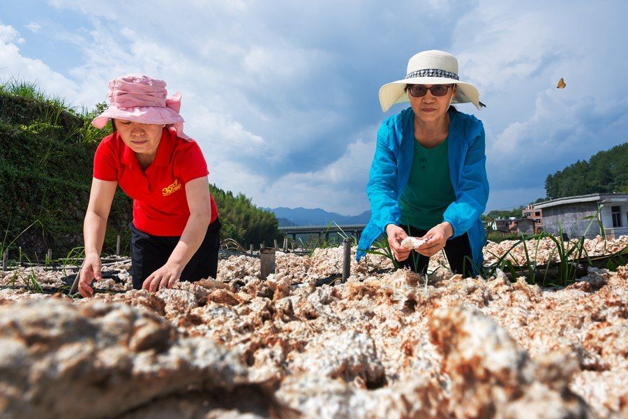 技艺$探访福建“非遗”技艺：传承400多年，72道工艺，制作出“纸中丝绸”