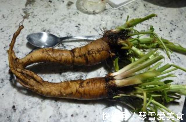 痛风|农村3种野菜,酒精肝、痛风、高血压的人要多吃!