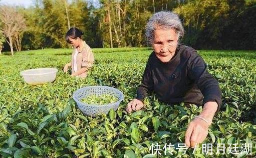 长寿老人|长寿的老人的5大特点,45岁以后能占3个以上,长寿会偏爱你