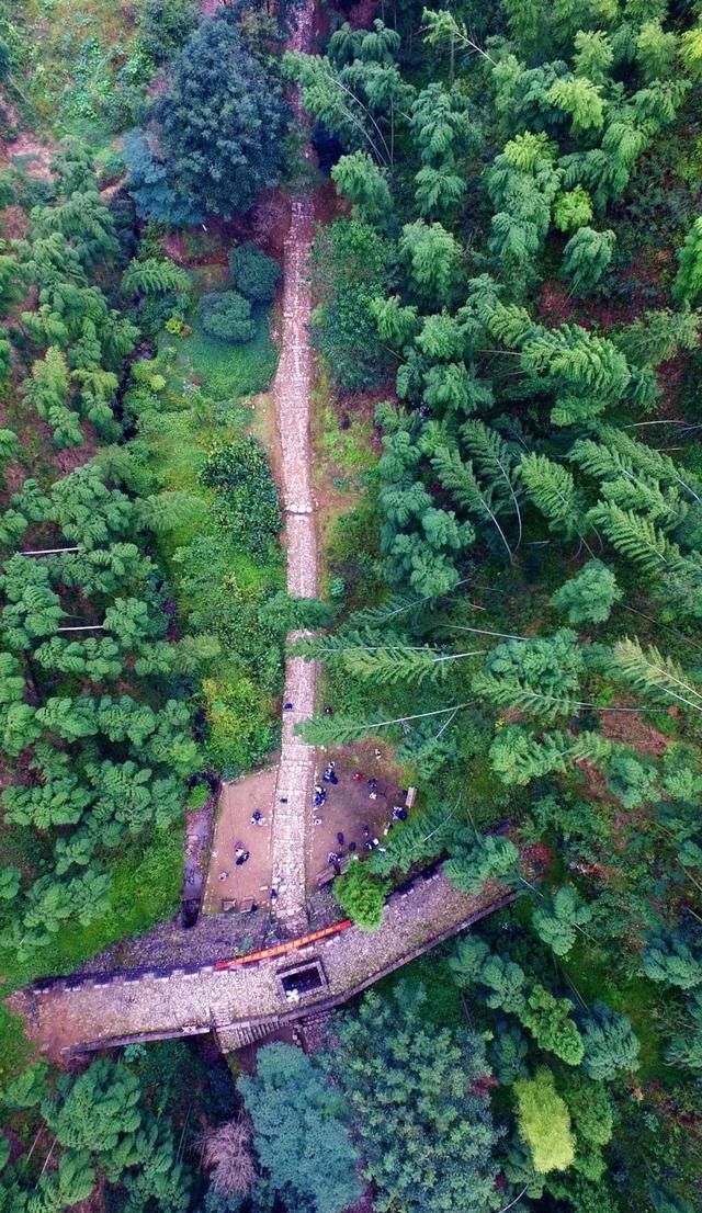  山间|此生必走一次缠绕浙闽山间的千年古道，真正的好山好水，遗世独立