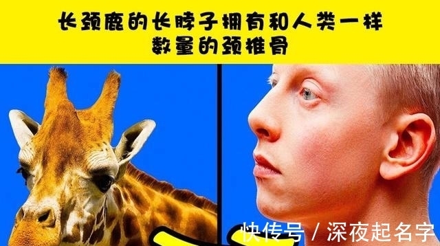 英文|即便知识渊博的人也未必知道的7个冷知识