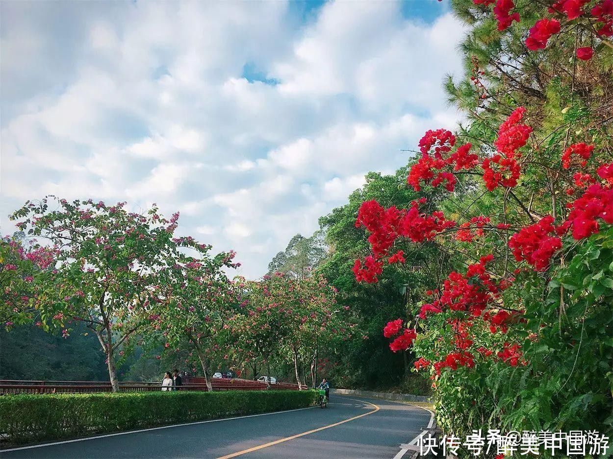 探访红花湖景区，环境清幽，山环水绕，环湖骑行好去处