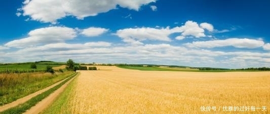 留一丝执念,静待下一世