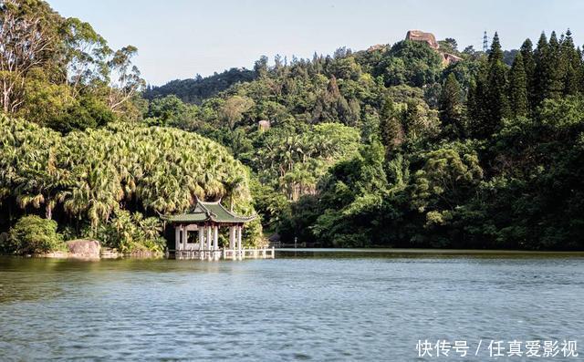 绿野仙踪|中国最值得去的3大植物园,是现实版的绿野仙踪,第一个就令人惊艳