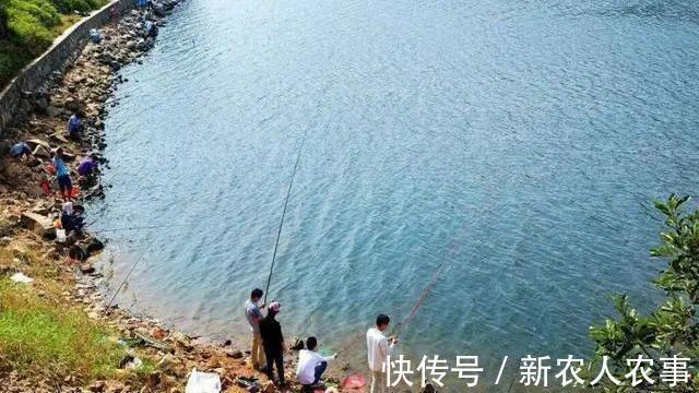 爷爷|重庆爷孙三人组团钓鱼,萌娃起竿就是一条鱼,网友:爸爸情何以堪