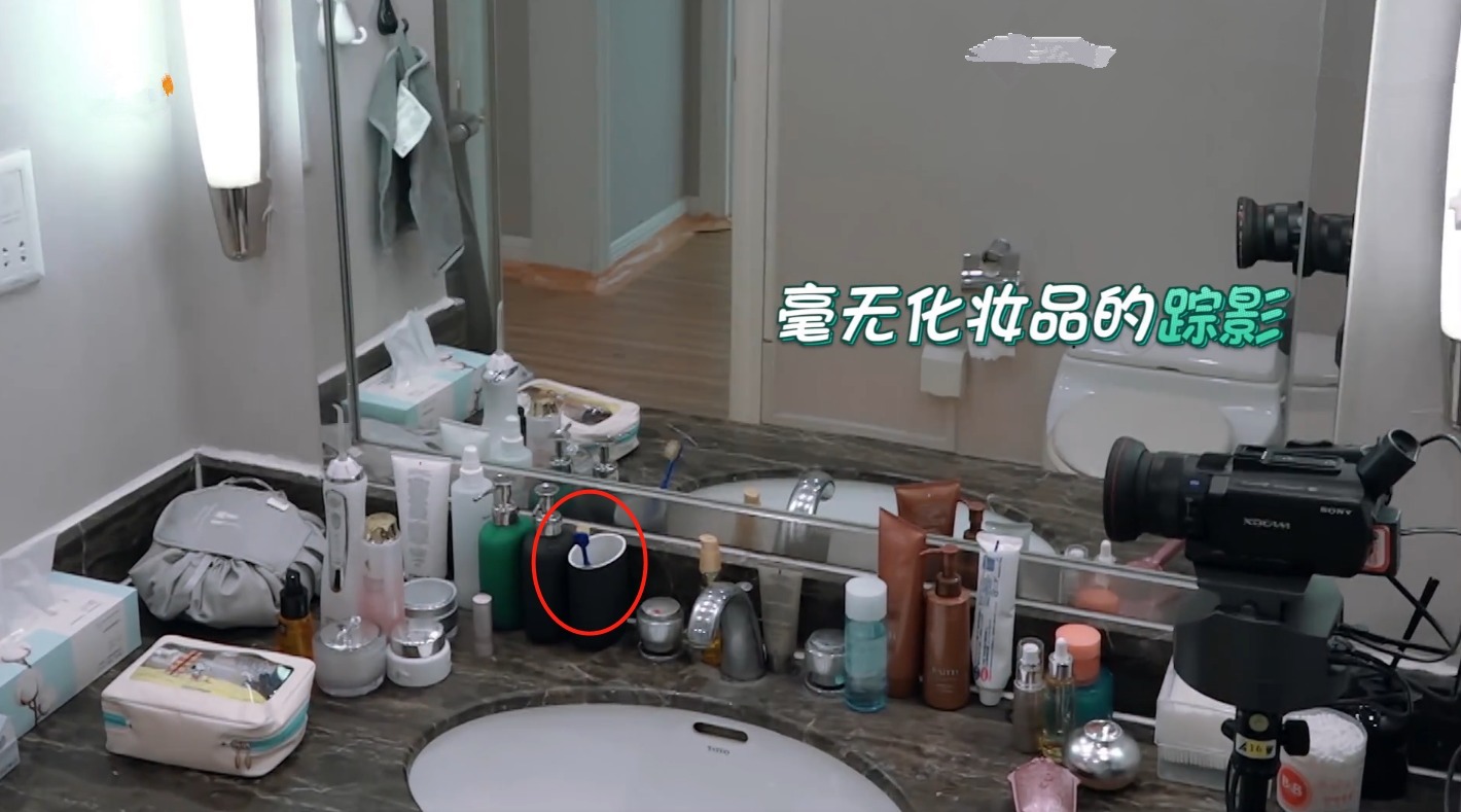 我家那闺女2|张碧晨为了生女损失2487万收入,但家中全是华晨宇最爱的动漫手办