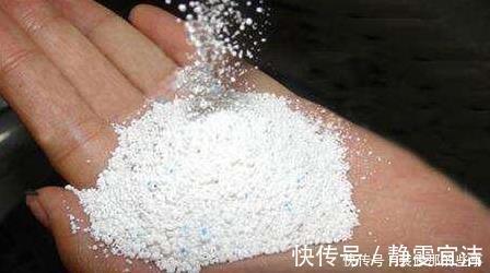 小玩意|花草长了虫,用家里一些小玩意,一喷就消灭光,药都不用买!