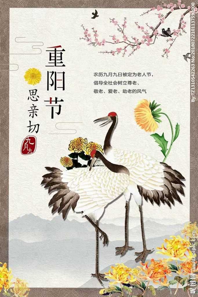 抒怀|重阳节抒怀