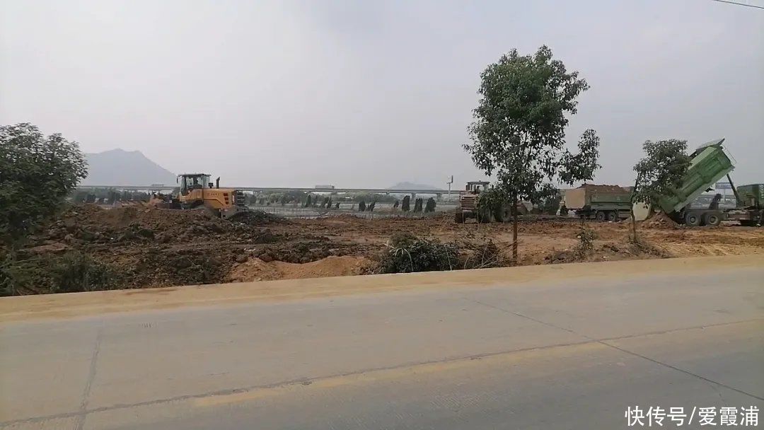 水产品|工程机械进场，霞浦7号地块开始填地，或建成一个超级水产品市场