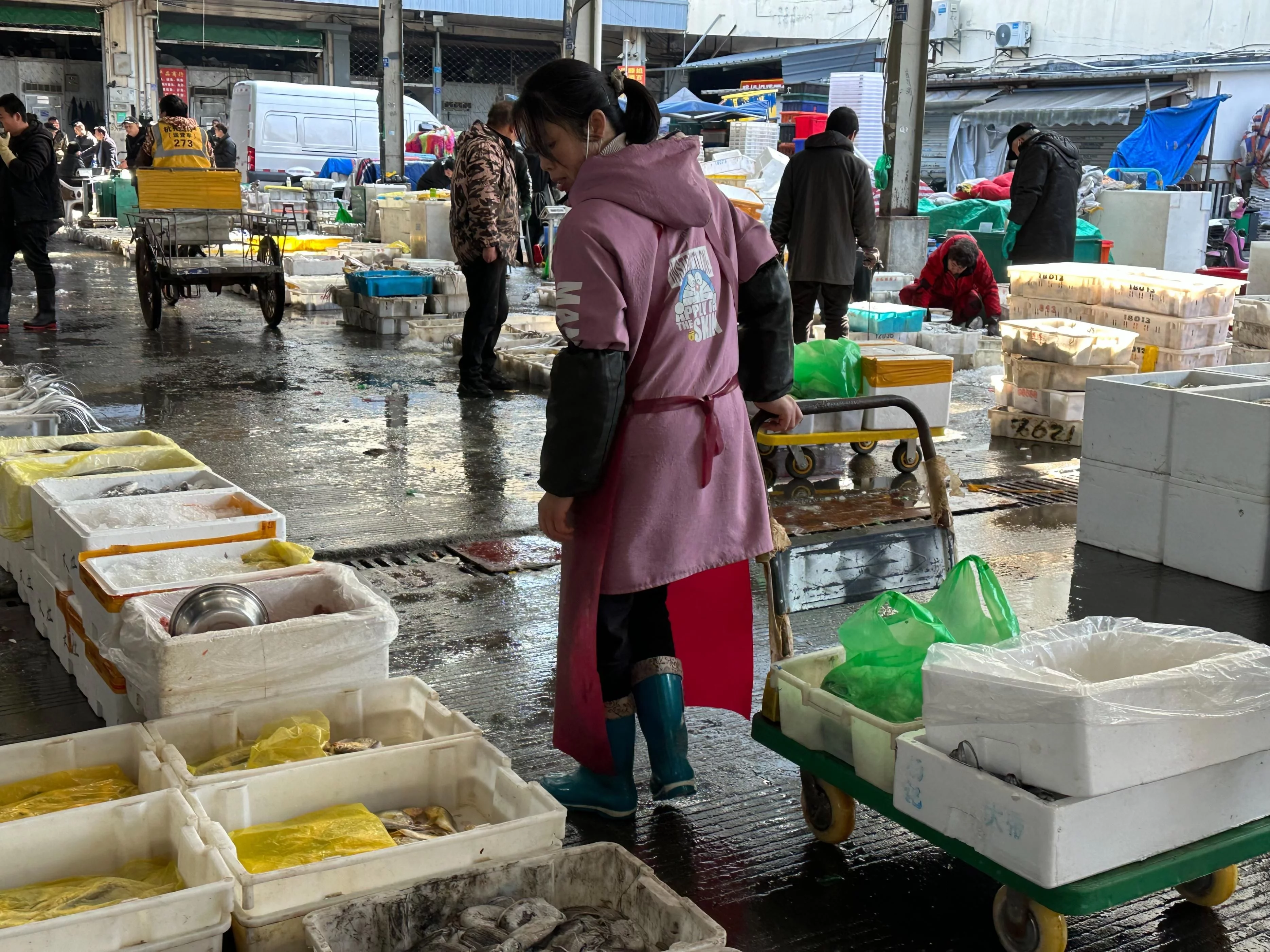 春季海鲜大量上市味美生鲜正当时