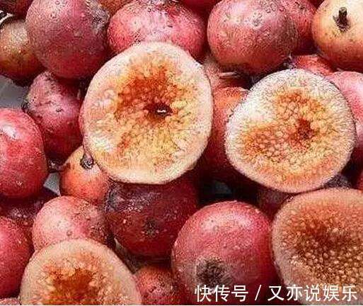 农村|农村这种常见的“野果”,烂在地里无人要,现如今卖到20一斤