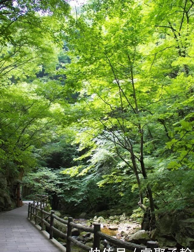 秦岭太平景区是皇家山水乐园宣传这么多年，但好像并不能划等号