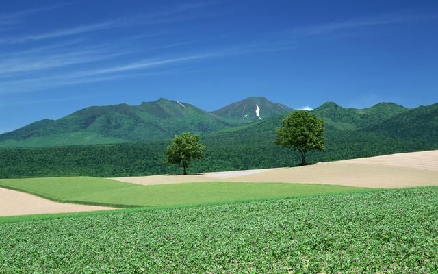 北海道 美丽组成的诱惑 满足你对大自然一切幻想的 快资讯