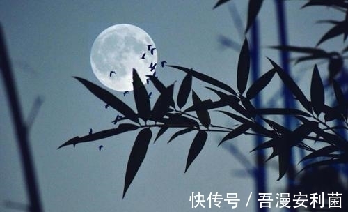 孟浩然$10大山水诗排行榜,王维《鸟鸣涧》仅列第二,榜首令人意想不到