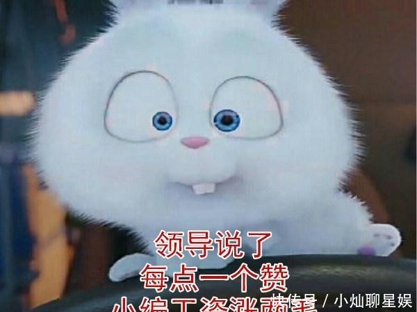 住进|女子爱美染发7小时, 不料操作失败后被剃光头住进了医院