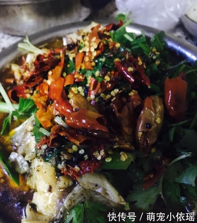 它营养比甲鱼还高，全身上下都是宝，7元1斤却很少人买，可惜了