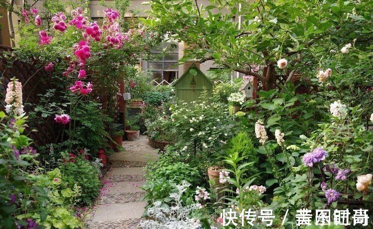 花园|荒废多年的80㎡小院,2年半时间打造成下沉式花园,太漂亮了!