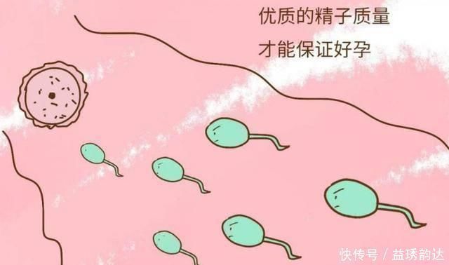 体液|进入女性体内后，未能和卵子成功结合的精子去哪了看完不准笑