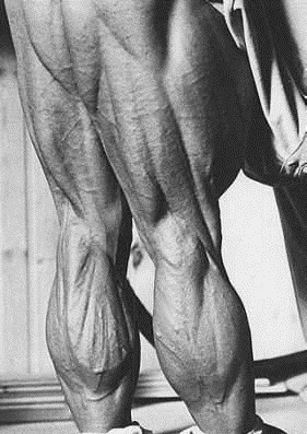 阿诺德|他用一己之力改变健美风向强壮如我的腿部,才配得上奥赛的荣光