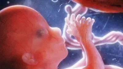 胎动|一组图记录怀胎十月,胎儿发育全过程,看完后,感叹生命神奇