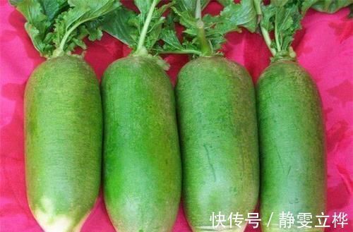 肌肉痉挛|长寿老人爱吃3种食物,补血益气,延缓衰老,好吃也不贵!