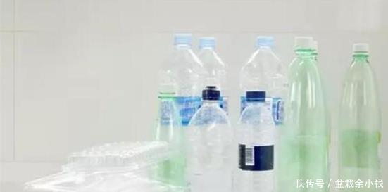 淘米水|淘米水能直接浇花吗?简单一步变废为宝,将其变成养花的绝佳肥料