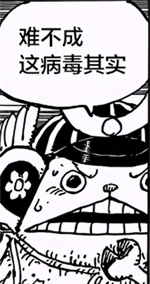 海贼王|「小希话谈」海贼王995话分析：同一句誓言，同一个梦