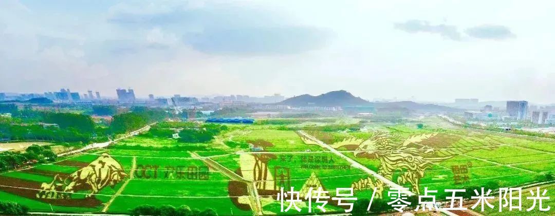 光明区|光明区,凤凰城-塘家第一工业区旧改