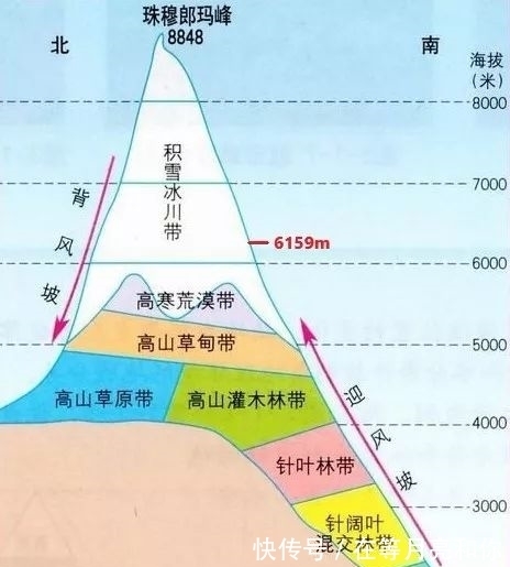 长草|珠穆朗玛峰6159m处“长草”了！不要担心，正常现象