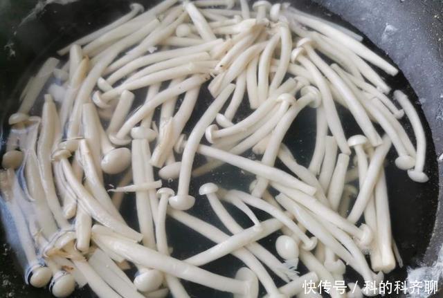 可口|秋天吃白菜不如吃他,花4块钱就能炒一盘,鲜嫩可口,营养又美味