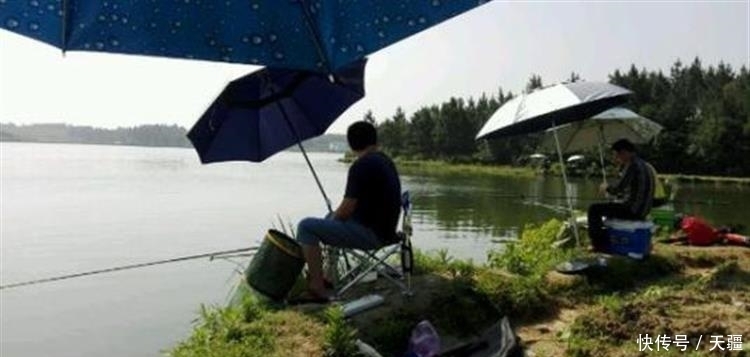 清明后钓草鱼3招必杀技,看完轻松爆护!