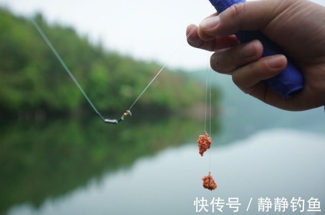 从钓底快速转换到钓浮的几点小技巧,一般人还真不知道,莫不信