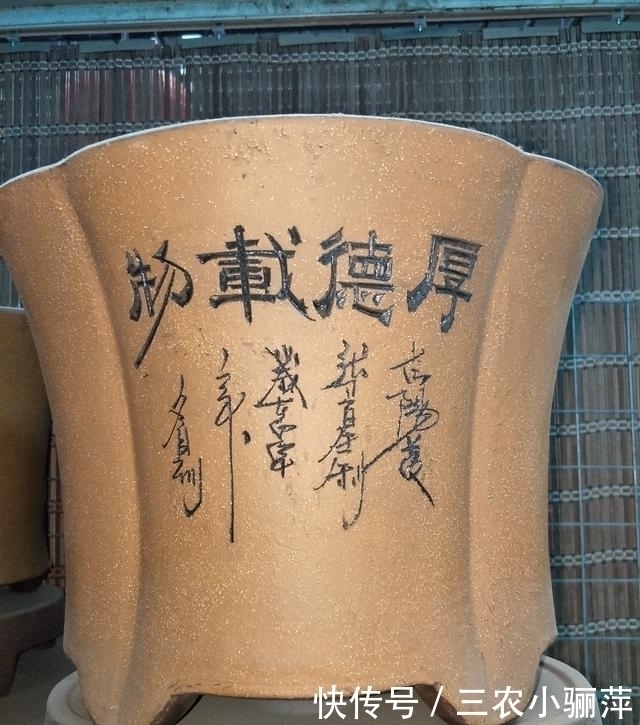 透气性|家中的花盆你选对了吗 每一种花盆都适合养什么, 千万不要乱用