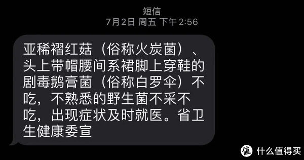 蘑菇|去了趟云南，看看吃蘑菇到底能不能见小人