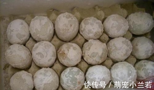 泥灰|买皮蛋时,看到这4种扭头就走的是聪明人,商贩也从不让家里人吃