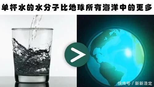 蓝鲸 你肯定没有听过的10个冷知识与现实生活息息相关