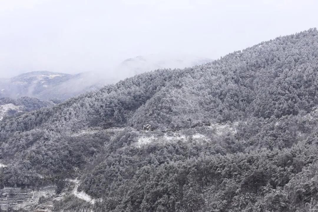 石梁美|一场初雪，天台石梁美成了画中仙~