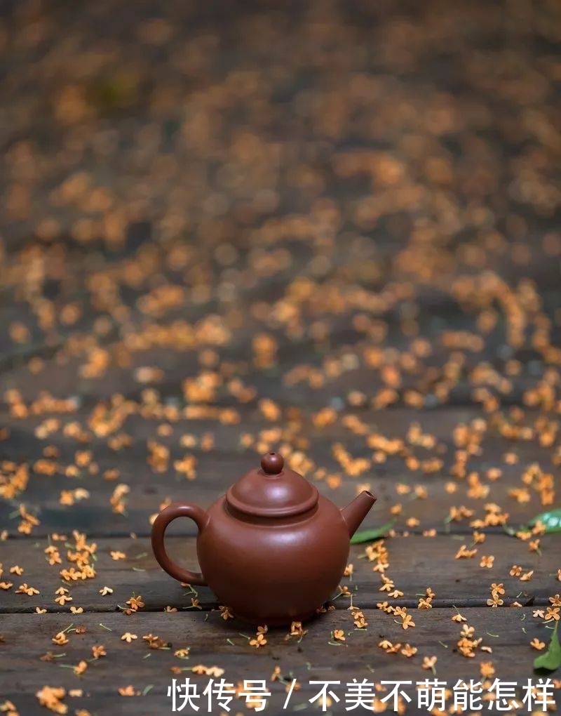 秋天|秋天,是桂花味的.....