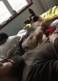 |搞笑GIF:女朋友很漂亮 就是脑子有点不好使