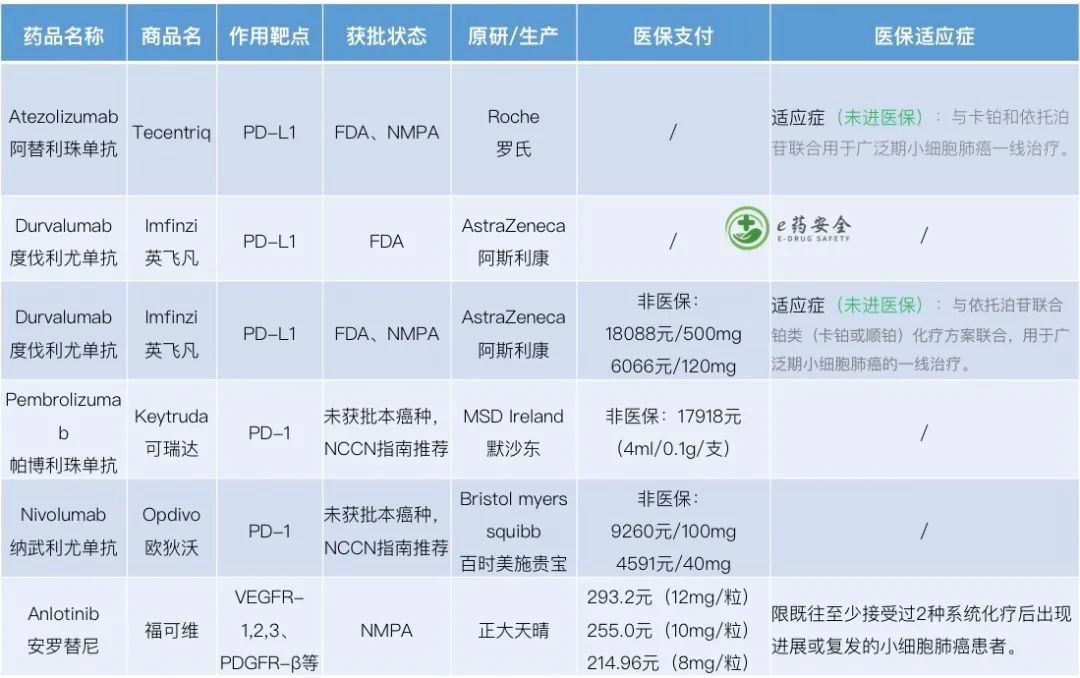 nmp肺癌，靶向及免疫治疗药物汇总表(2022年1月)