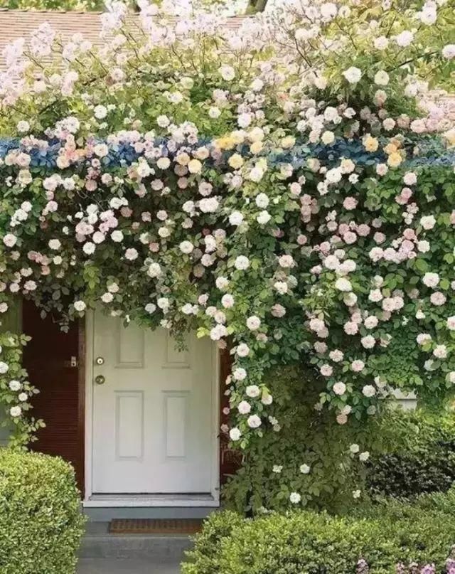 这才是花园应有的样子！