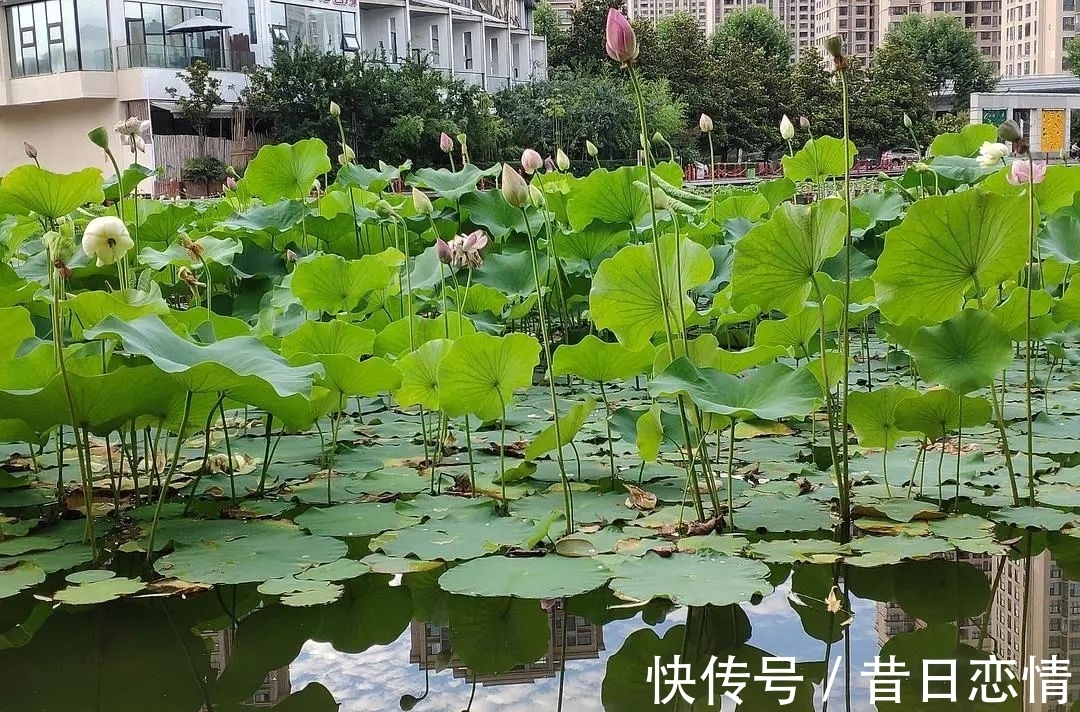 诗句|当年背到头秃的古诗,瞬间读懂了……