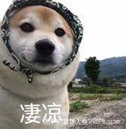 黄奕这“吸渣”体质,也是绝了