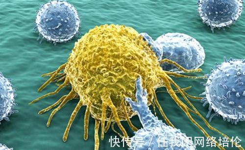 陈父|亲人癌症晚期,是否要继续治疗呢来看看医生的真实做法